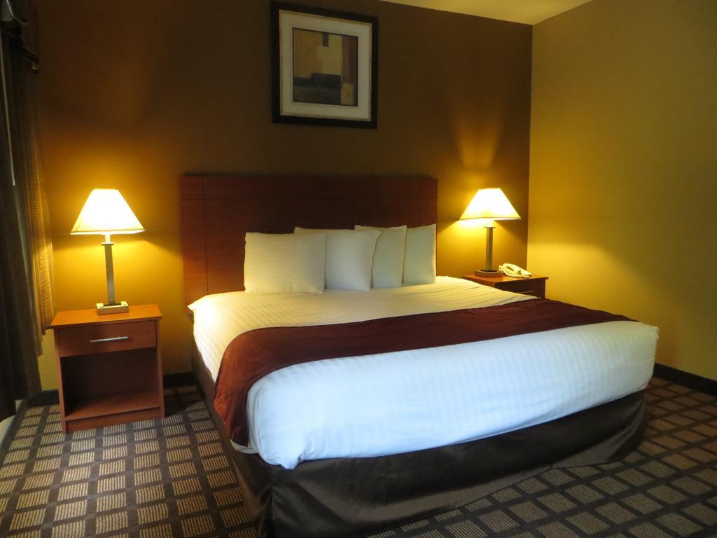 Baymont By Wyndham New Buffalo Quarto foto