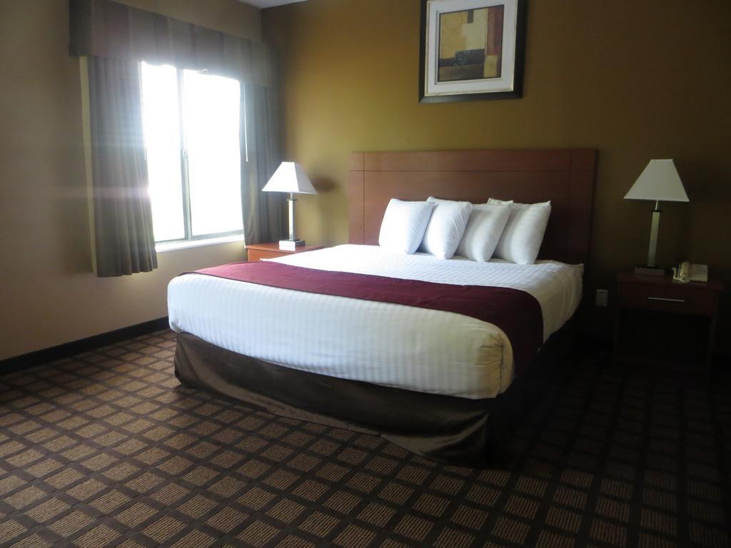 Baymont By Wyndham New Buffalo Quarto foto