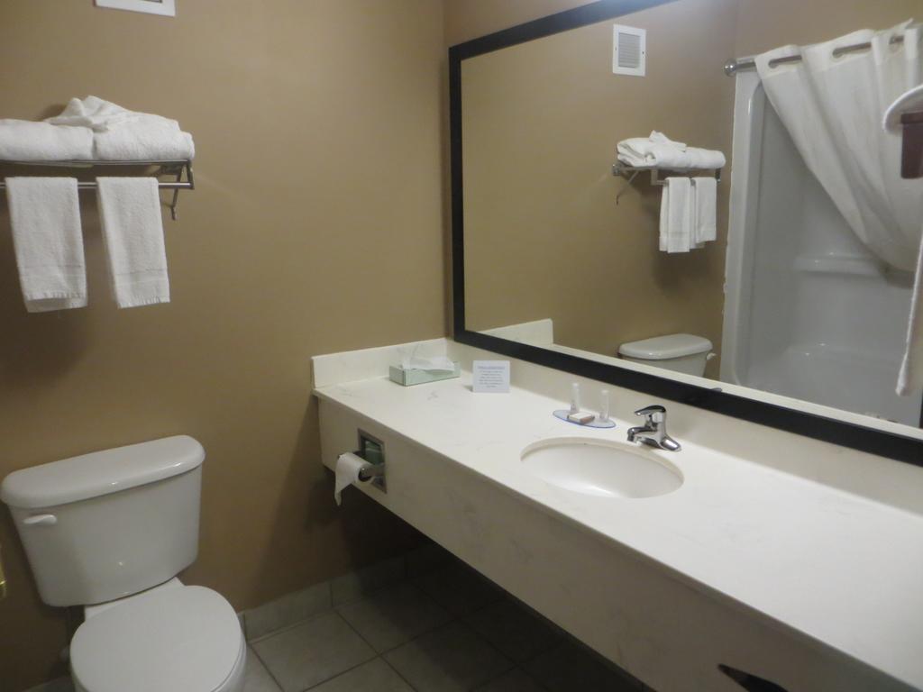 Baymont By Wyndham New Buffalo Quarto foto