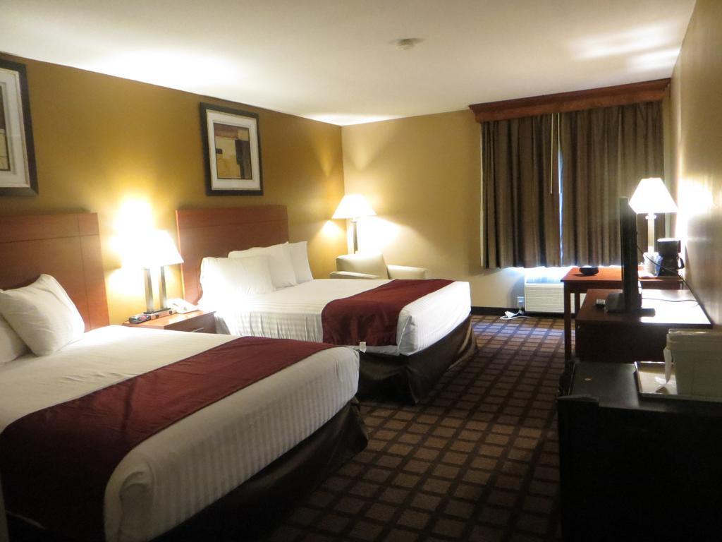 Baymont By Wyndham New Buffalo Quarto foto