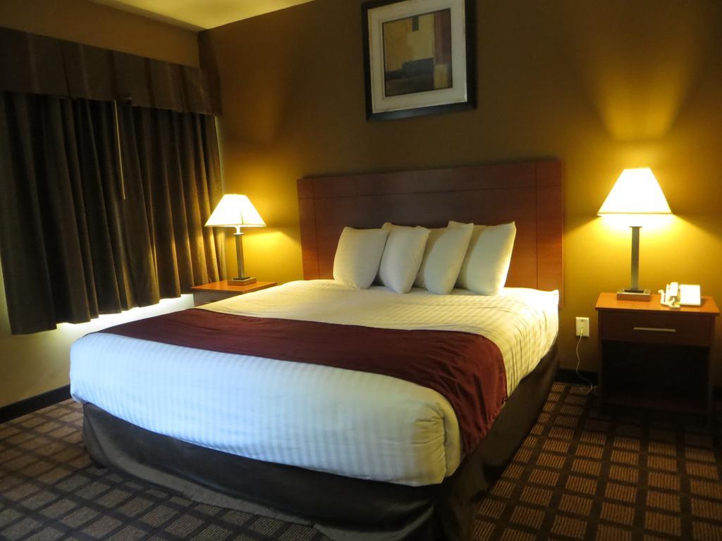 Baymont By Wyndham New Buffalo Quarto foto